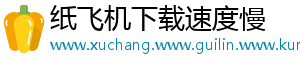 纸飞机下载速度慢